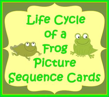 Preview of Free Life Cycle of a Frog Picture Sequence Cards