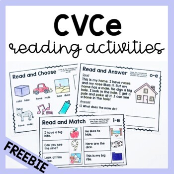 Preview of Free Long Vowel CVCe Reading Passages and Activities a i o u Science of Reading