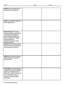 Free Macromolecules Vocabulary Practice Packet by Dr Dre the Bio Teacher