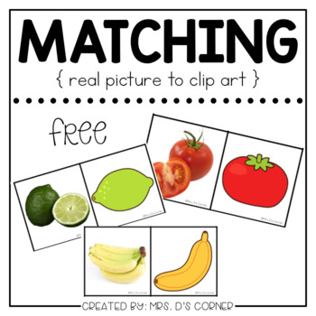 Preview of Free Matching Picture Cards [ Real Pictures to Clip Art ]