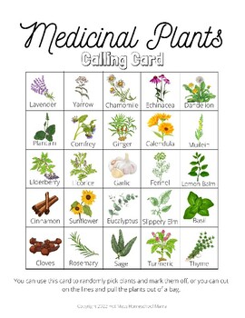 Free Medicinal Plants BINGO by Hot Mess Homeschool Mama | TPT