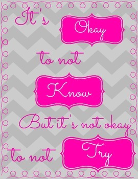Free Motivational Poster Chevron and Pink by Elizabeth Akins | TpT