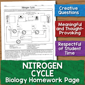 Preview of Free Nitrogen Cycle Biology Homework Worksheet