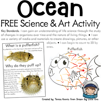 Preview of Free Ocean Activity for Science, Art and Math - Preschool Prek, Kindergarten