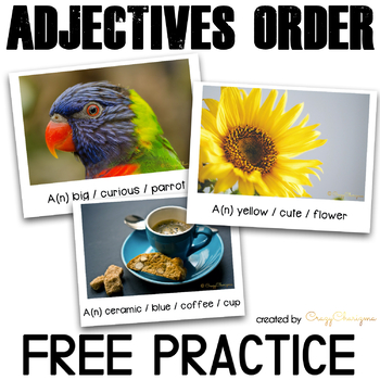 Preview of Free Ordering Adjectives Games