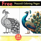 Free Peacock Coloring Pages