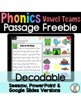 Preview of Free Phonics Decodable Reading Comprehension Passages Google Slides Use & Seesaw