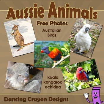Preview of Photos of Australian Animals and Birds | Wildlife of Australia