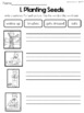 Free Picture Sentence Worksheets by LearnersoftheWorld | TpT