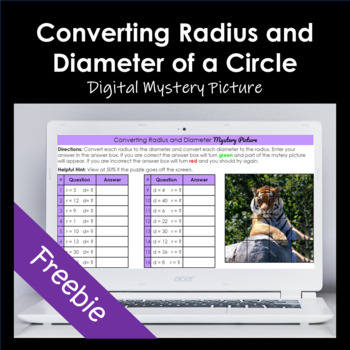 Preview of Free!! Radius and Diameter of a Circle Digital Mystery Picture