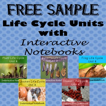 Free Sample Life Cycle Units - Butterfly, Chicken, Plant, Frog, & Insect