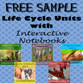 Free Sample Life Cycle Units - Butterfly, Chicken, Plant, 