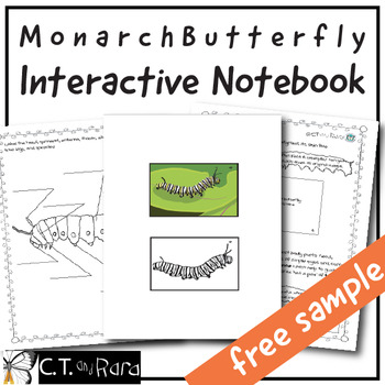 Preview of Free Monarch Caterpillar Diagram