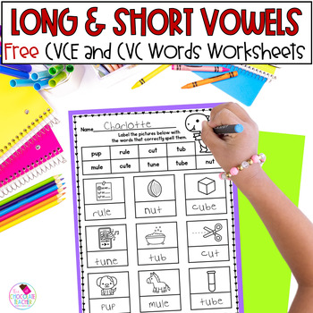Preview of CVCE CVC Words Phonics Long and Short Vowel Worksheets FREE