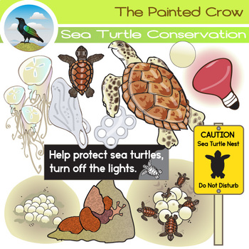 Preview of Free Sea Turtle Conservation Clip Art Set - Hawksbills and Loggerheads
