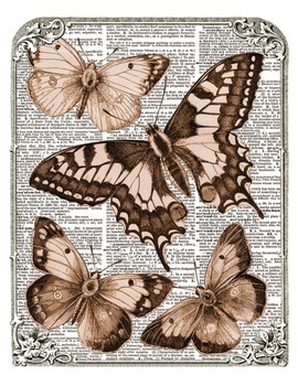 free scrapbooking background framed vintage butterflies by housepunkery