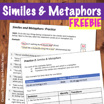 Preview of Free Simile and Metaphor Practice