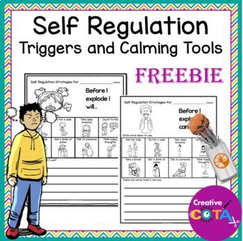 Preview of Free Occupational Therapy SEL Activity Triggers and Calming Strategies
