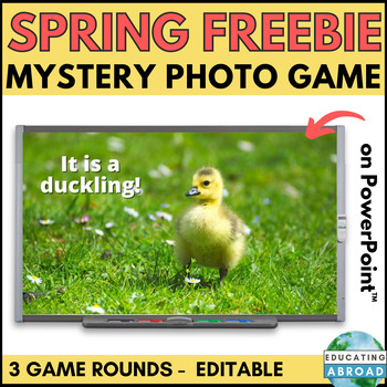 Preview of Free Spring Activity for Reading Comprehension and Inferencing