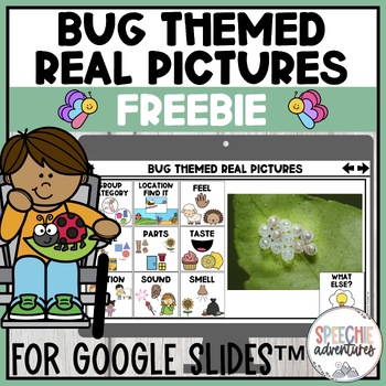 Preview of Free Spring Bug Describing Activity with Real Pictures for Speech Therapy