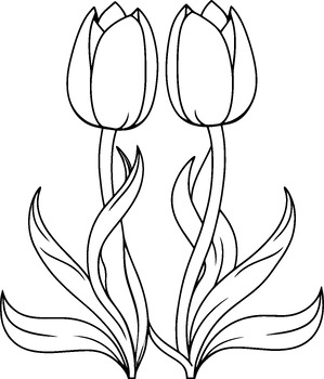 Preview of Free Spring Coloring Page with Tullips - Flower Garden -For Kindergarten - 4K
