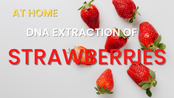 Preview of Free Strawberry DNA Extraction Lab