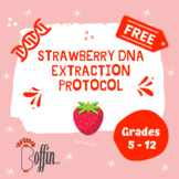 Free Strawberry DNA Extraction Protocol