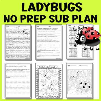 Preview of Easy Sub Plan or Independent Work Middle School Science 5th 6th 7th: Ladybugs