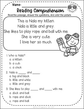 FREE Kindergarten Reading Comprehension Passages - Summer | TPT