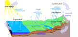 Free Water Cycle Diagram (Blank & Labeled)