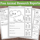Free Zoo Animal Research Report | Elephant - Giraffe Repor
