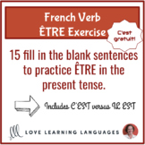 French verb être present tense exercise