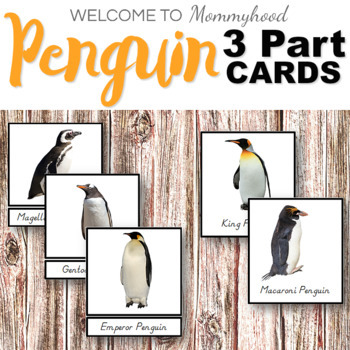 Preview of Free types of penguins 3 part cards