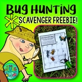 Bug Scavenger Hunt - FREEBIE