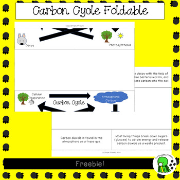 Preview of Freebie Carbon Cycle Foldable