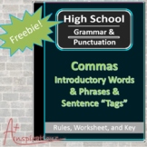 Freebie: Commas in Introductory Words, Phrases, & Clauses 