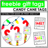 Freebie | EDITABLE Candy Cane Gift Tag