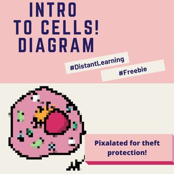 Preview of Freebie! Middle School Cell Diagram (Hand-Drawn)