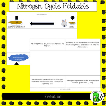 Preview of Freebie Nitrogen Cycle Foldable
