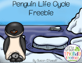 Freebie - Penguin Life Cycle Sequencing