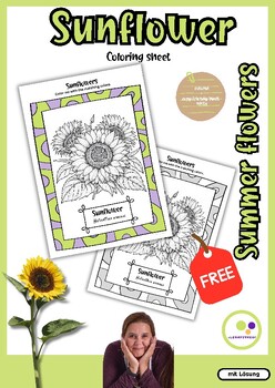 Preview of Freebie: Sunflowers | Coloring sheet | Helianthus annuus