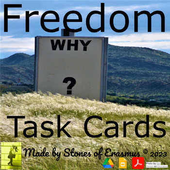 Preview of Freedom Explored: 18-Count Discussion Task Cards Philosophy in the Classroom