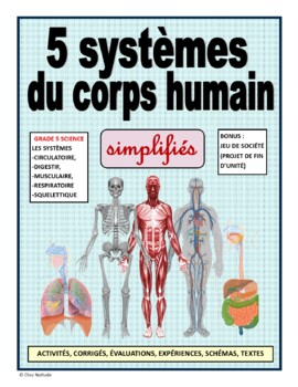 Preview of French: "5 systèmes du corps simplifiés" (Grade 5 Science)