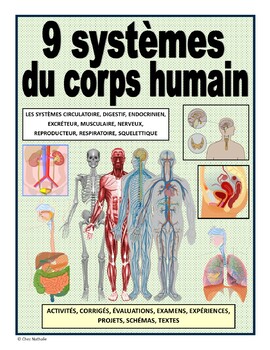 Preview of French: "9 systèmes du corps humain"