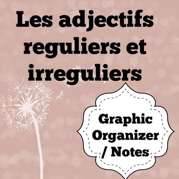 Preview of French Adjectives Graphic Organizer / Notes