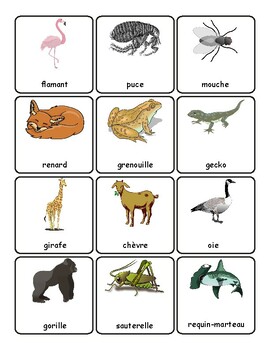 French Animals' Names Vocabulary Flashcards Labels for Classroom