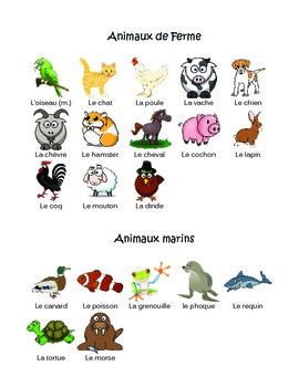 French Animals Vocabulary Activity Sheets by Mike Wood | TPT