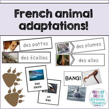 Preview of French Animal Adaptations - Les adaptations des animaux
