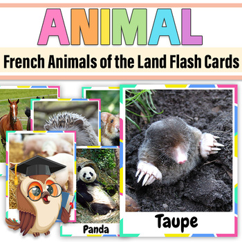 Preview of French  Animals of Land Real Pictures Vocabulary Flashcards for Prek and K