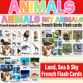 Preview of French Animals of the Land, Sea & Sky With Real Photo Flashcards| Animals Poster